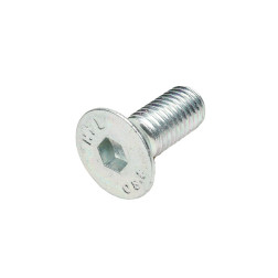 9040060 VARŽTAS M12X30