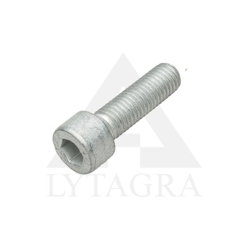 9031091 VARŽTAS M10X35