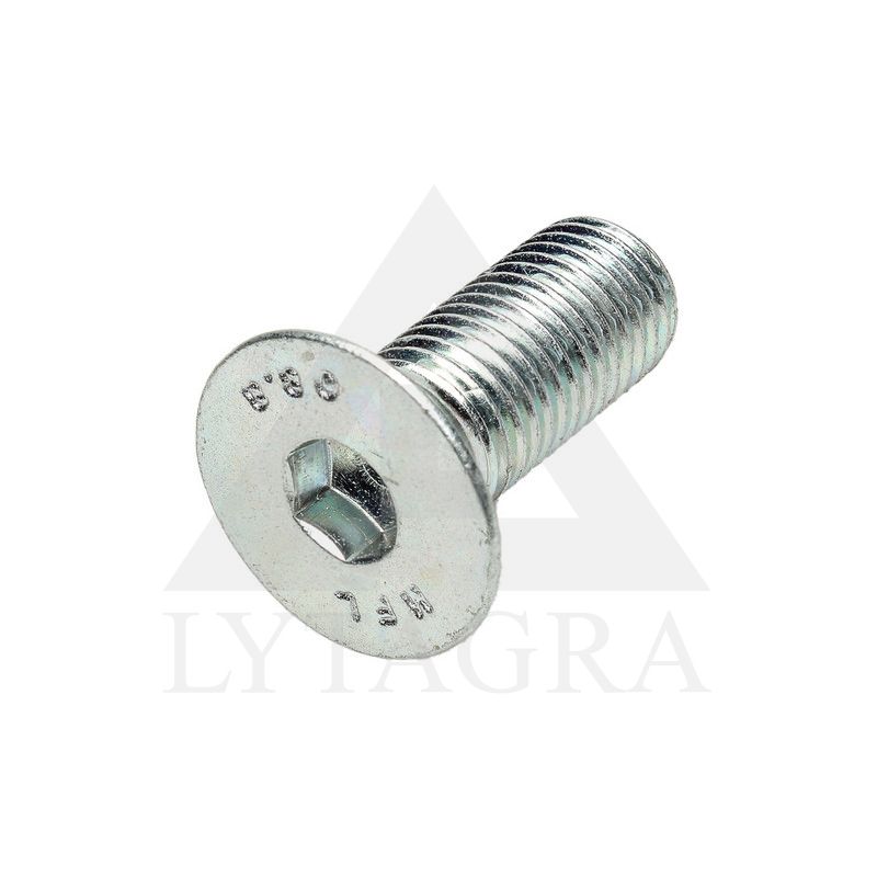 9040192 VARŽTAS M16X40