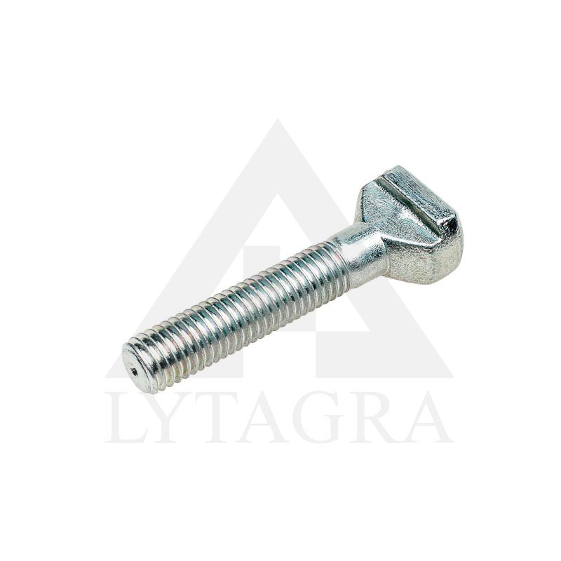 900003440 VARŽTAS M12X65 T formos