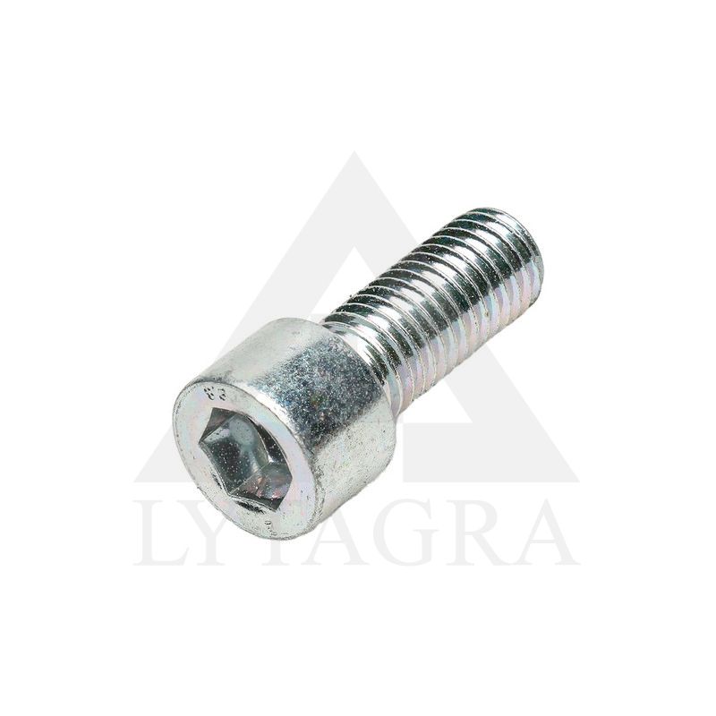 9031412 VARŽTAS M12X30