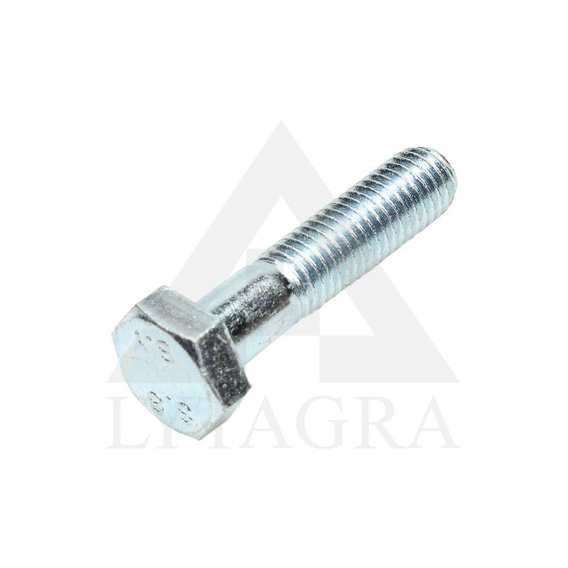 00360237 VARŽTAS M10X45