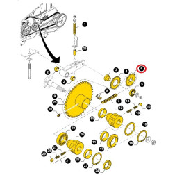 9819912 VARANČIOJI ŽVAIGŽDĖ