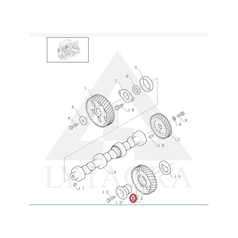 83992735 krumpliaratis