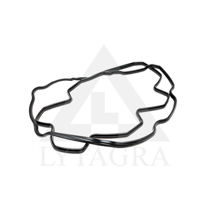 5802239738 DANGTELIO TARPINĖ