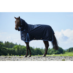 24109-DB-155 HORZE GLASGOW UŽDANGALAS SU KAKLU