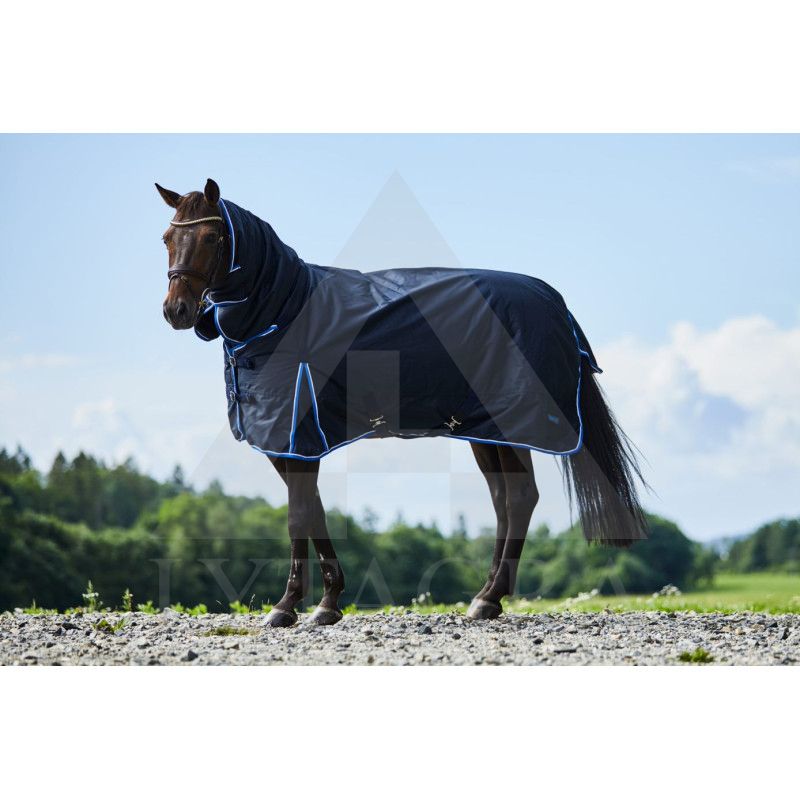 24109-DB-155 HORZE GLASGOW UŽDANGALAS SU KAKLU