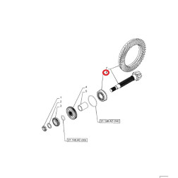 5111271 GUOLIS KOMPLEKTE(-/139/170)