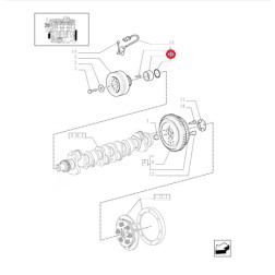 87800705 ĮVORĖ ALK.VELENO