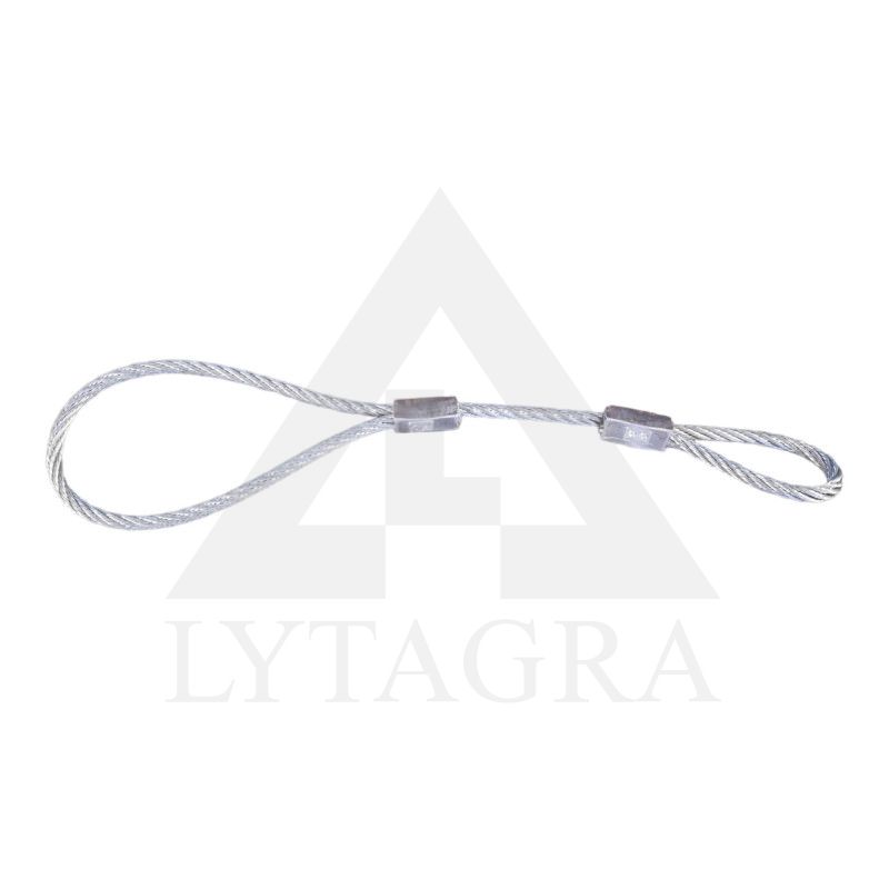 Lynas apsaugos