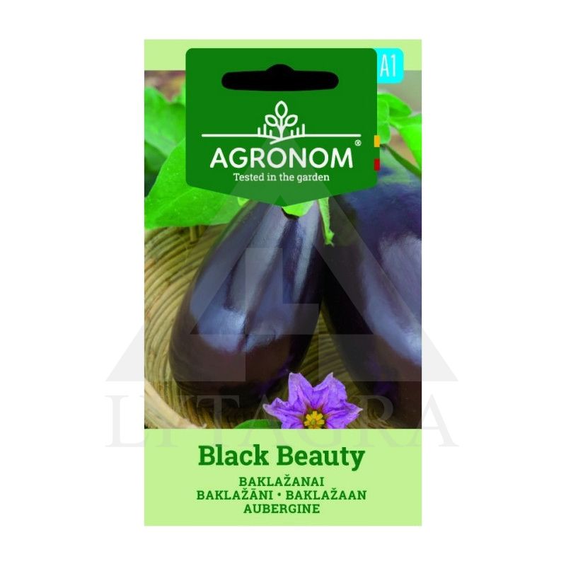 ARG BAKLAŽANAI BLACK BEAUTY