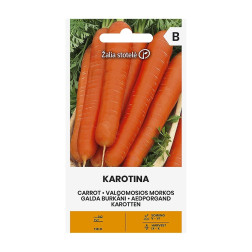 MORKOS KAROTINA