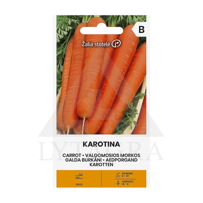 MORKOS KAROTINA