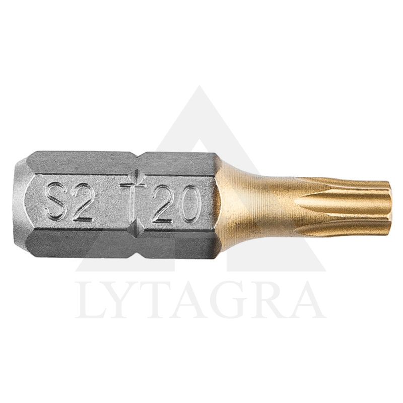 Atsuktuvas kryžminis TX20, 25mm, 1/4", 2vnt..