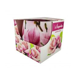 KVEP.ŽVAKĖ STIKL. INDEL. MAGNOLIJA