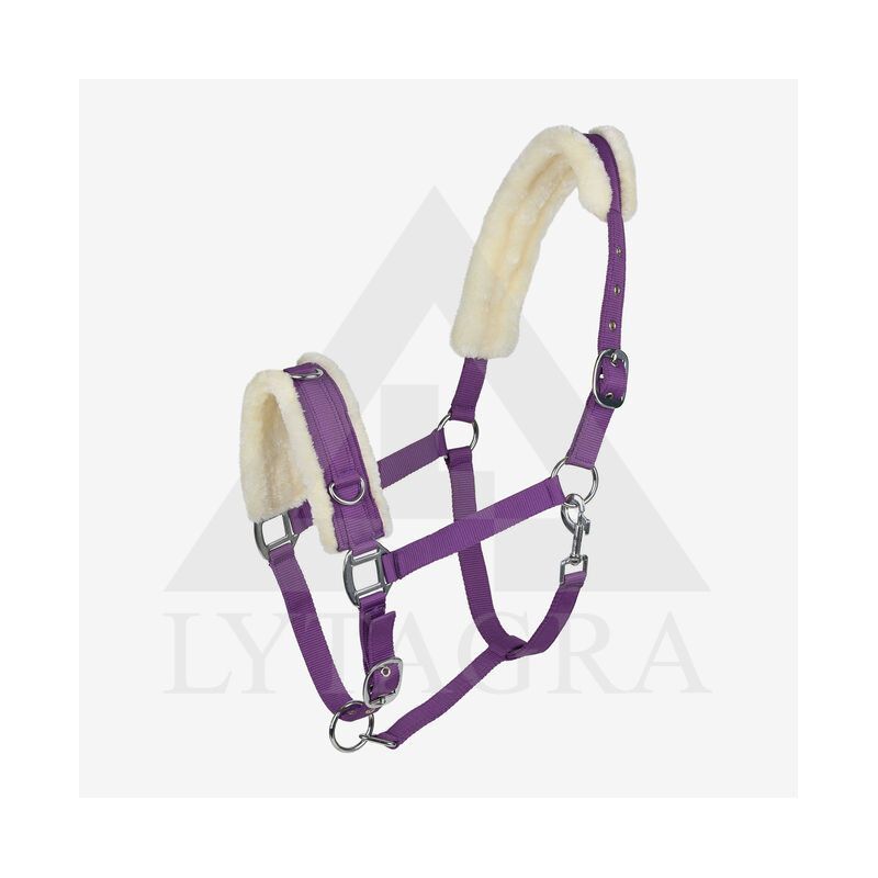 10821-PU-F HORZE CAVESSON APYNASRIS