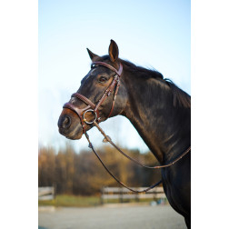 Horze Perth kamanos 10129-BR-C