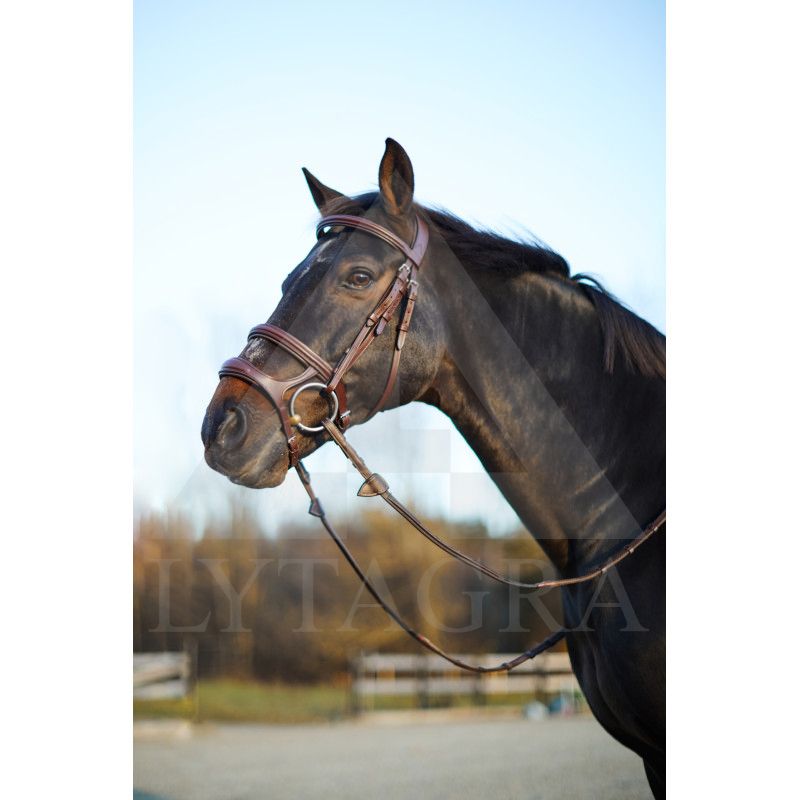 Horze Perth kamanos 10129-BR-C