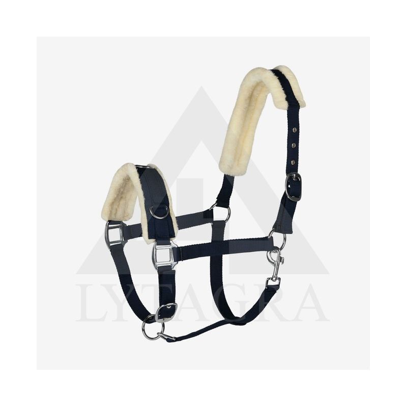 10821-DB-F HORZE CAVESSON APYNASRIS