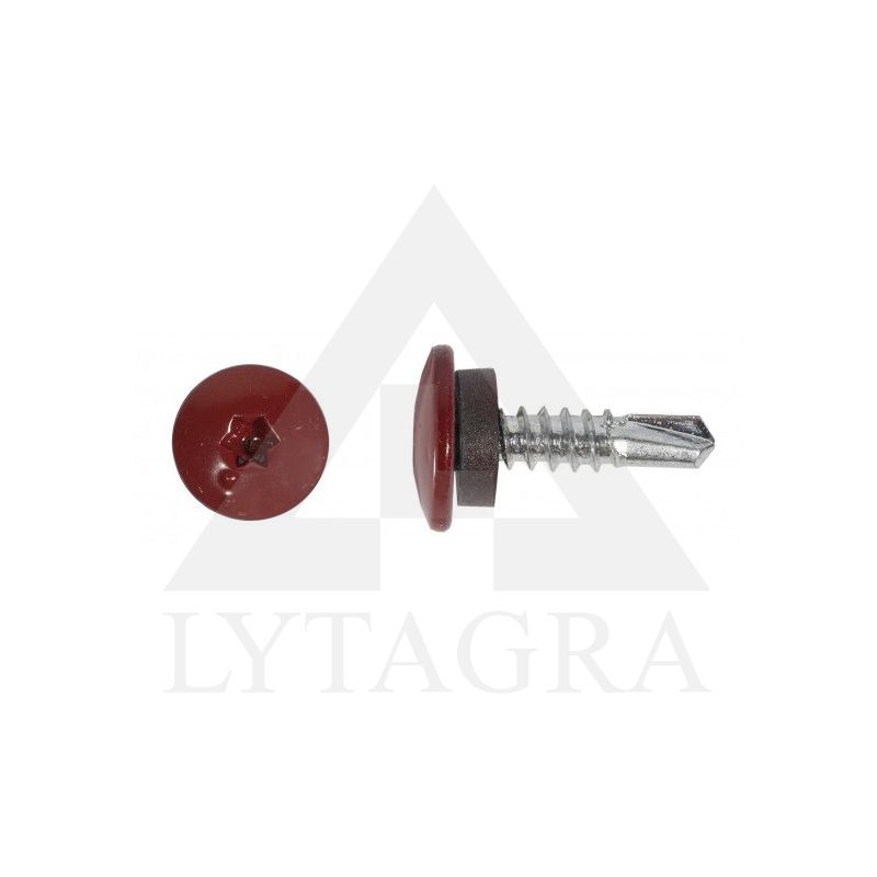 STOGINIAI SAVISRIEGIAI PLATINTA GALVA 4.8X19 RR32