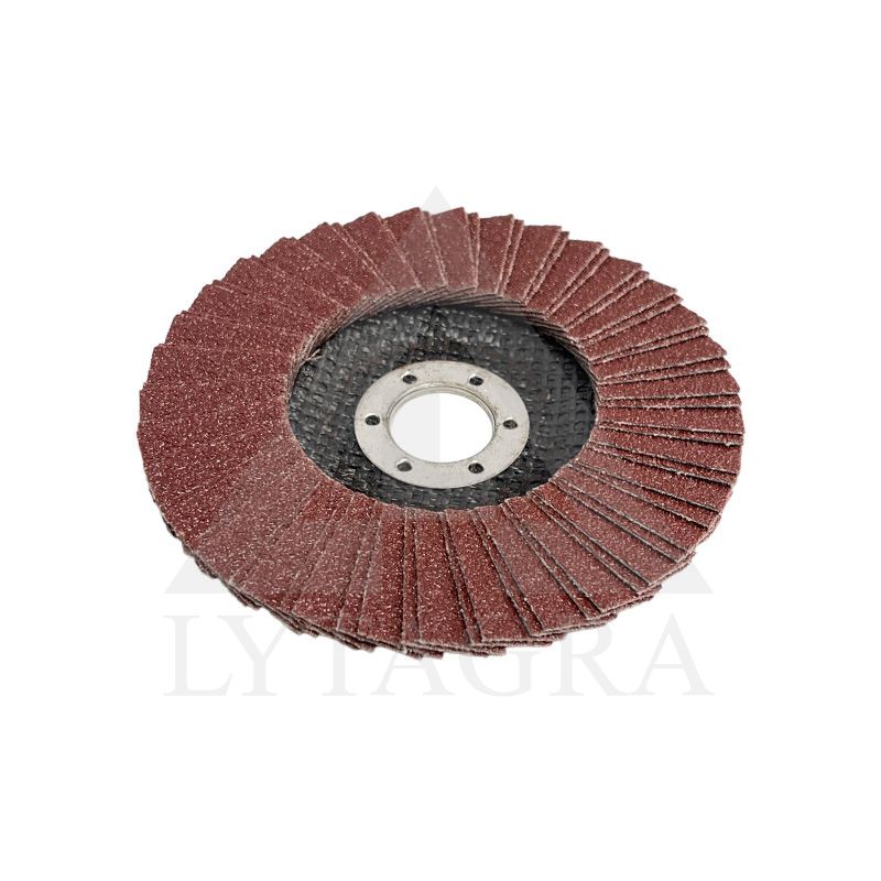 Žiedlapinis šlifavimo diskas Stromtec F12501A 125x22.23 mm P60 KLT-3