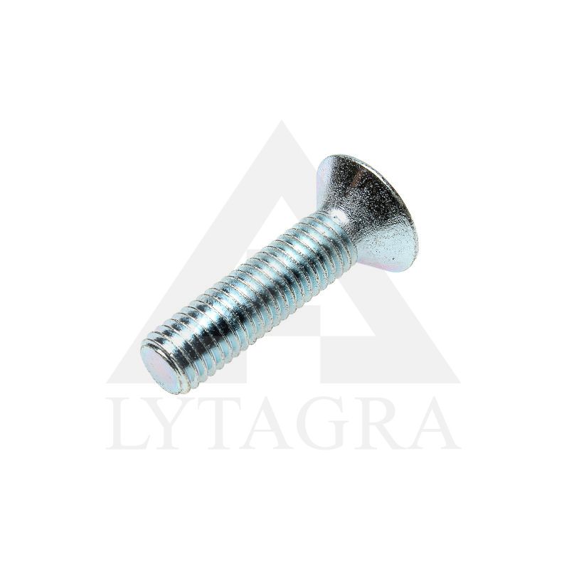 VARŽTAI DIN7991-8.8 M10-40 79918100400
