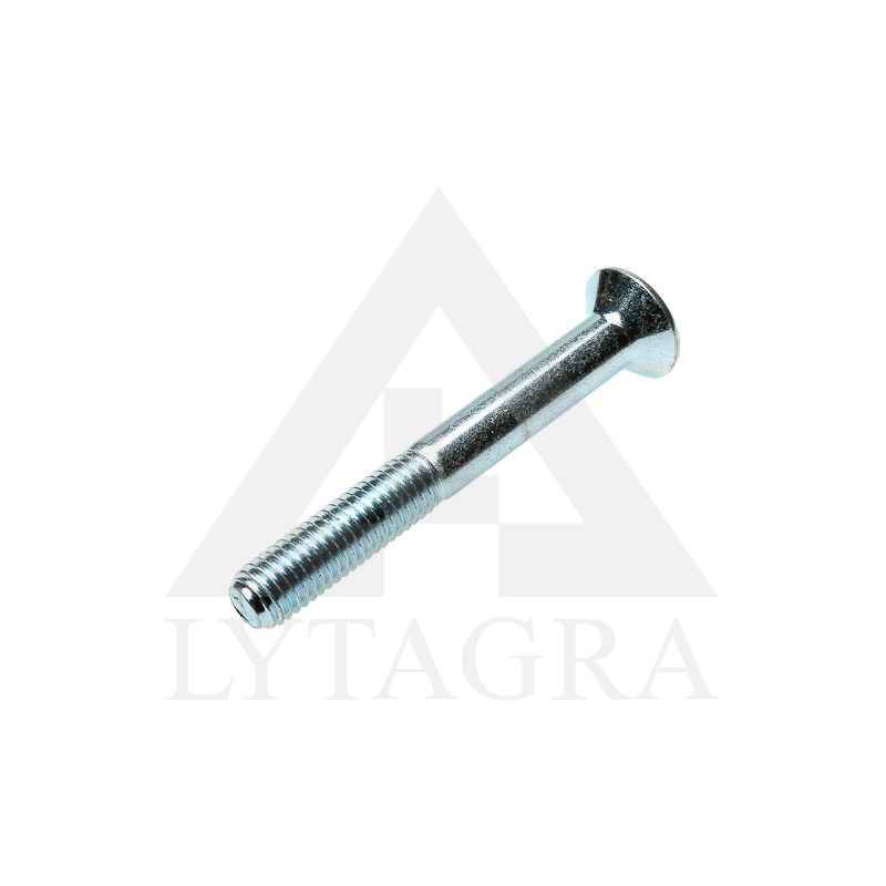 VARŽTAI DIN7991-8.8 M10-80 79918100800