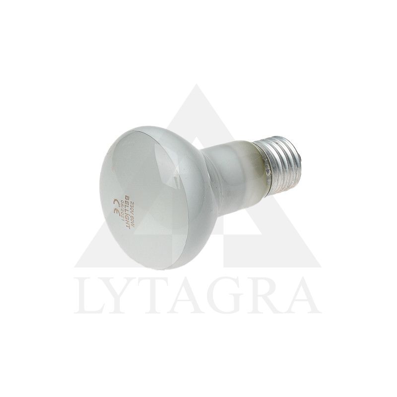 VEIDR.LEMPA DZK 230V 60W E27 PRAM.NAUD.MATIN.
