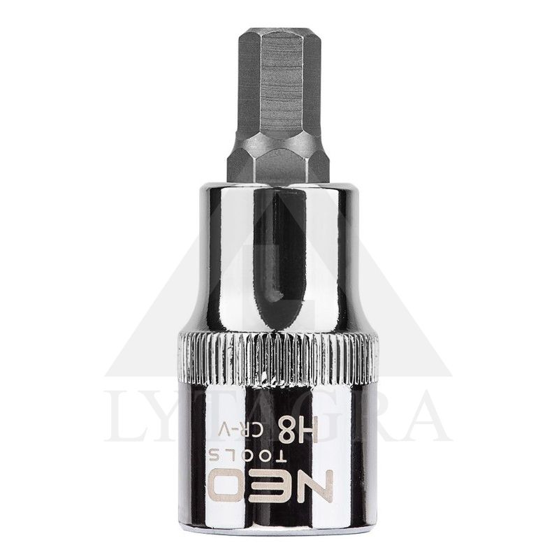 08-773 ANTGALIS ŠEŠIAKAMPIS SU LAIKIKL.H8